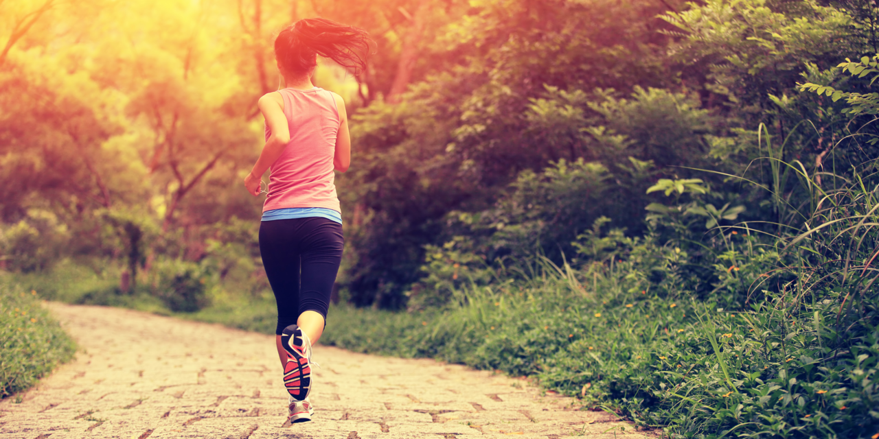 566767d98430765a008b87d7