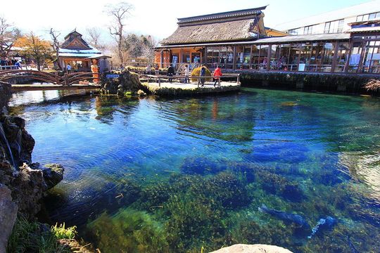 Naka_Pond,_Oshino,_Yamanashi