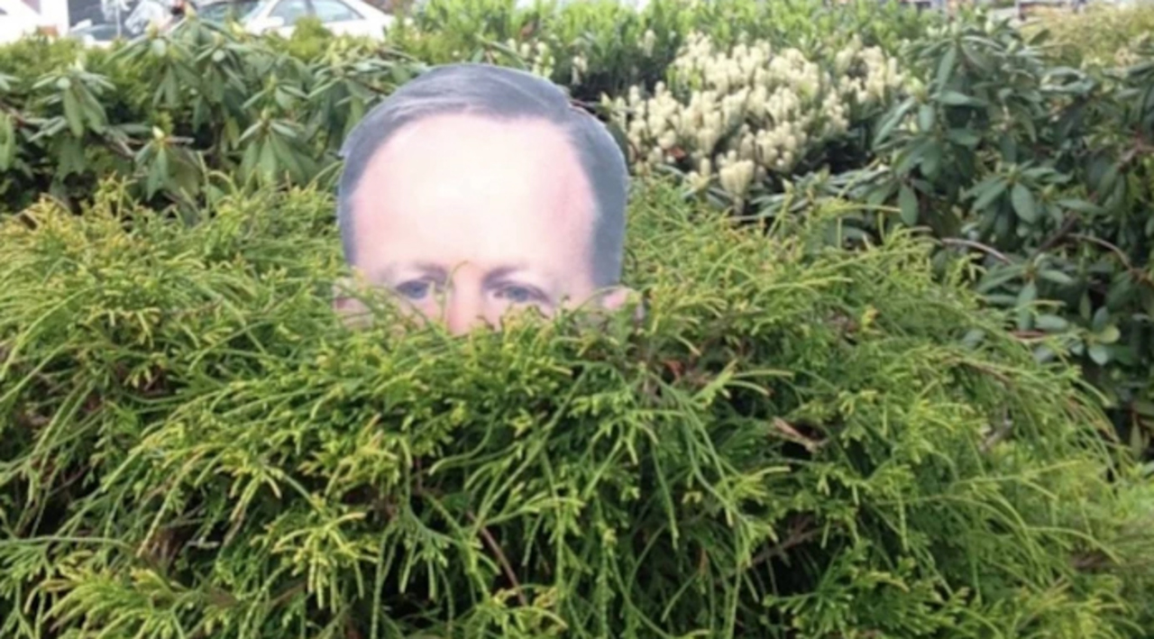 garden-spicer