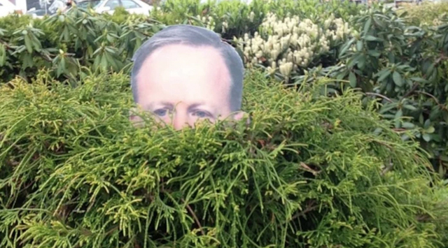 garden-spicer