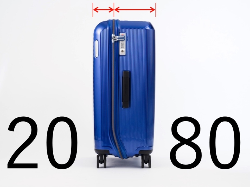 20:80分割