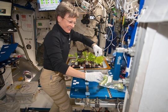 国際宇宙ステーションの野菜栽培プロジェクト風景