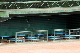 野球強豪校はなぜ“文武両道”を敵視するのか —— ブラック部活と高校野球を考える