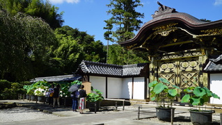 大企業も取り入れるマインドフルネス——鎌倉のイベントに大勢参加したのはあの職業