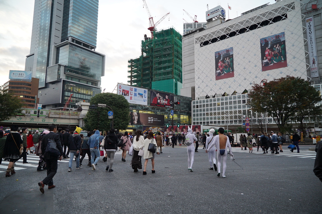 DSC07404