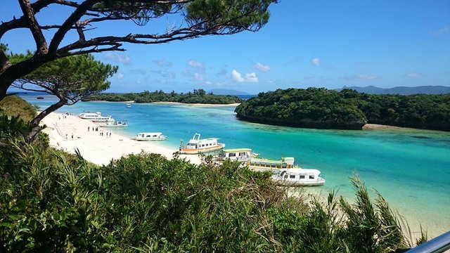 「沖縄の大人はもっと沖縄の子どもに目を向けてほしい」——19歳の大学生が訴える負の側面
