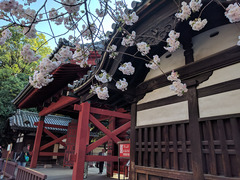 東大生はなぜ“森友改ざん問題”後も安倍政権を支持するのか