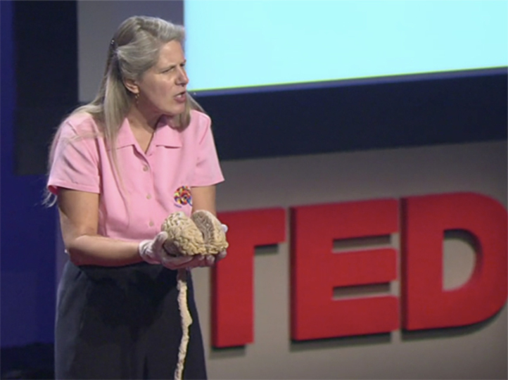 週末にまとめ見したい 殿堂入りted動画 Business Insider Japan