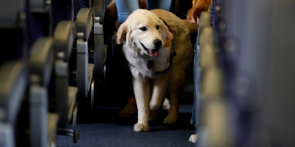 飛行機が苦手? 怖くなくなる5つのアドバイス