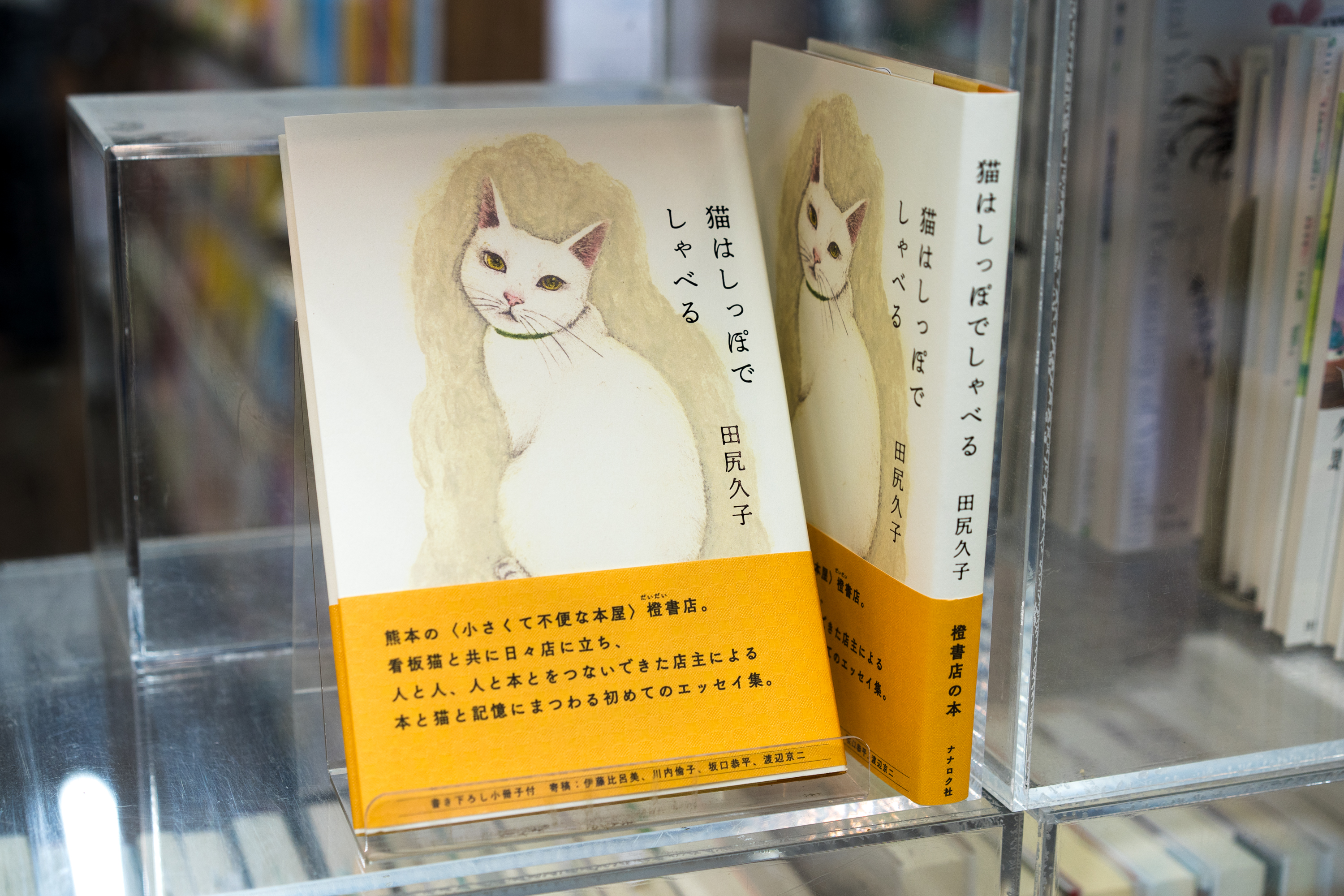 弱っている人に寄り添う熊本の小さな書店——村上春樹や黒田征太郎らが足