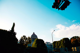 杉田問題は安倍一強問題。｢力｣ある人に認められるウットリ感が暴走させる感覚