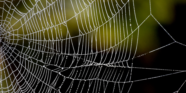 米軍が注目 装備を軽量化する強くて快適な素材とは Business Insider Japan