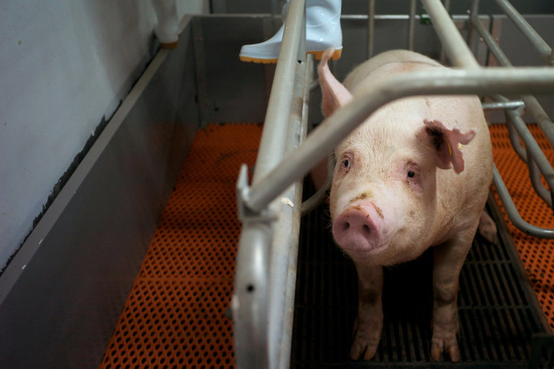 農業の自動化を推進する中国 ── 2億5000万人の仕事がなくなる?