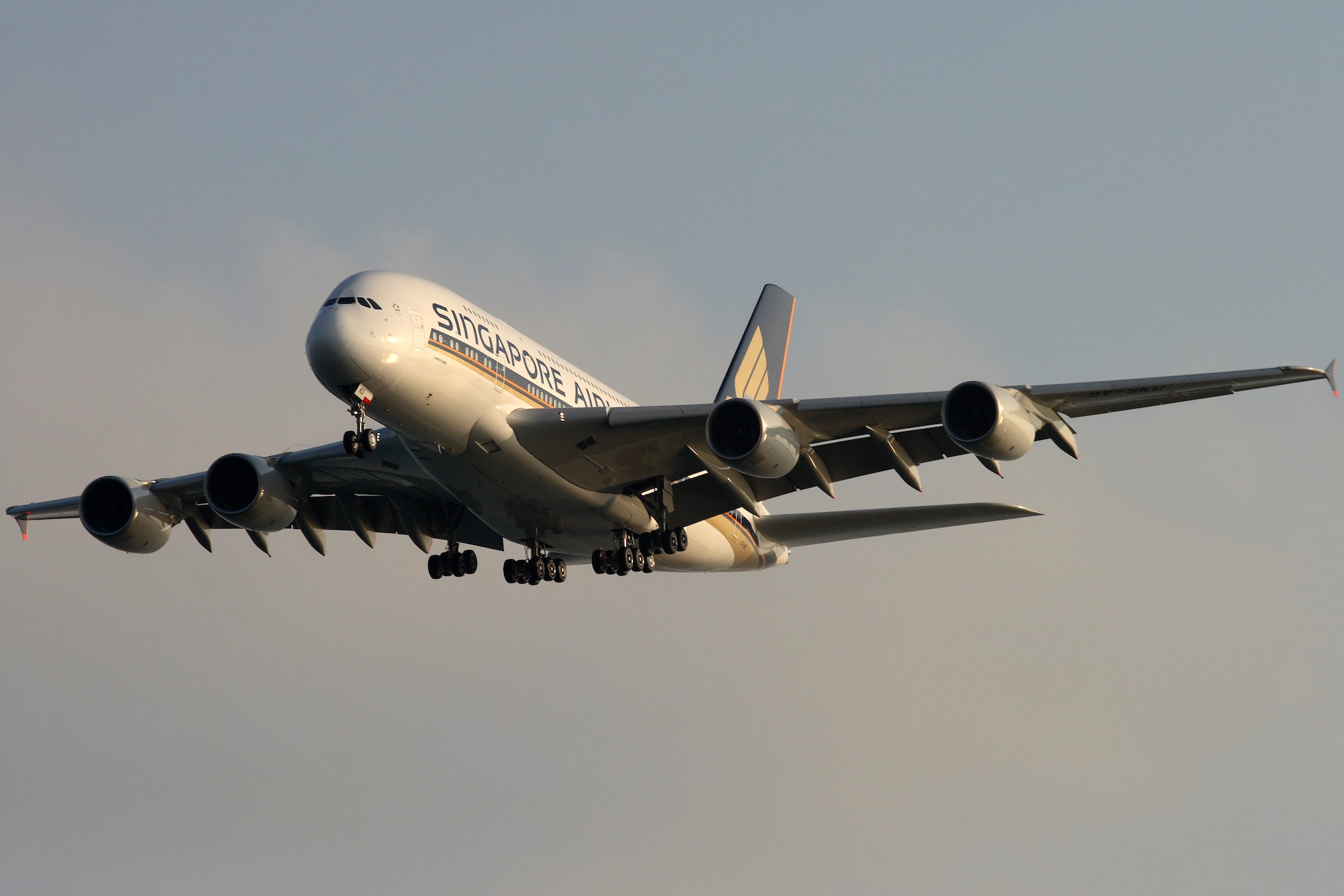 誰でもok✨ドバイ ETIHAD航空／Airbus a380  巨大Model Etihad Airbus A380 🇦🇪 Abu Dhabi - London LHR 🇬🇧 [FULL