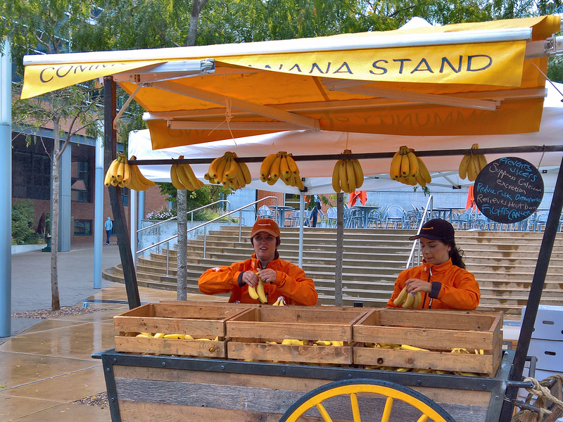 アマゾンのバナナスタンド。