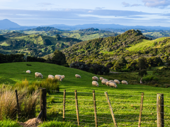 5b27d6481ae66228008b5291