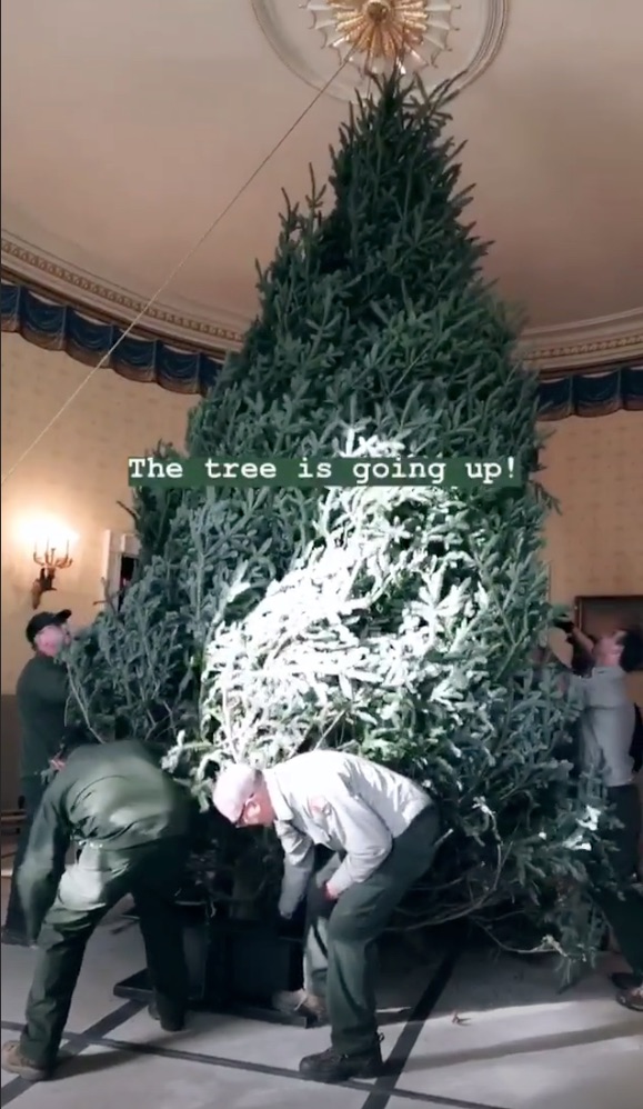 写真で見る ホワイトハウスがクリスマス仕様に変身するまでの舞台裏 Business Insider Japan