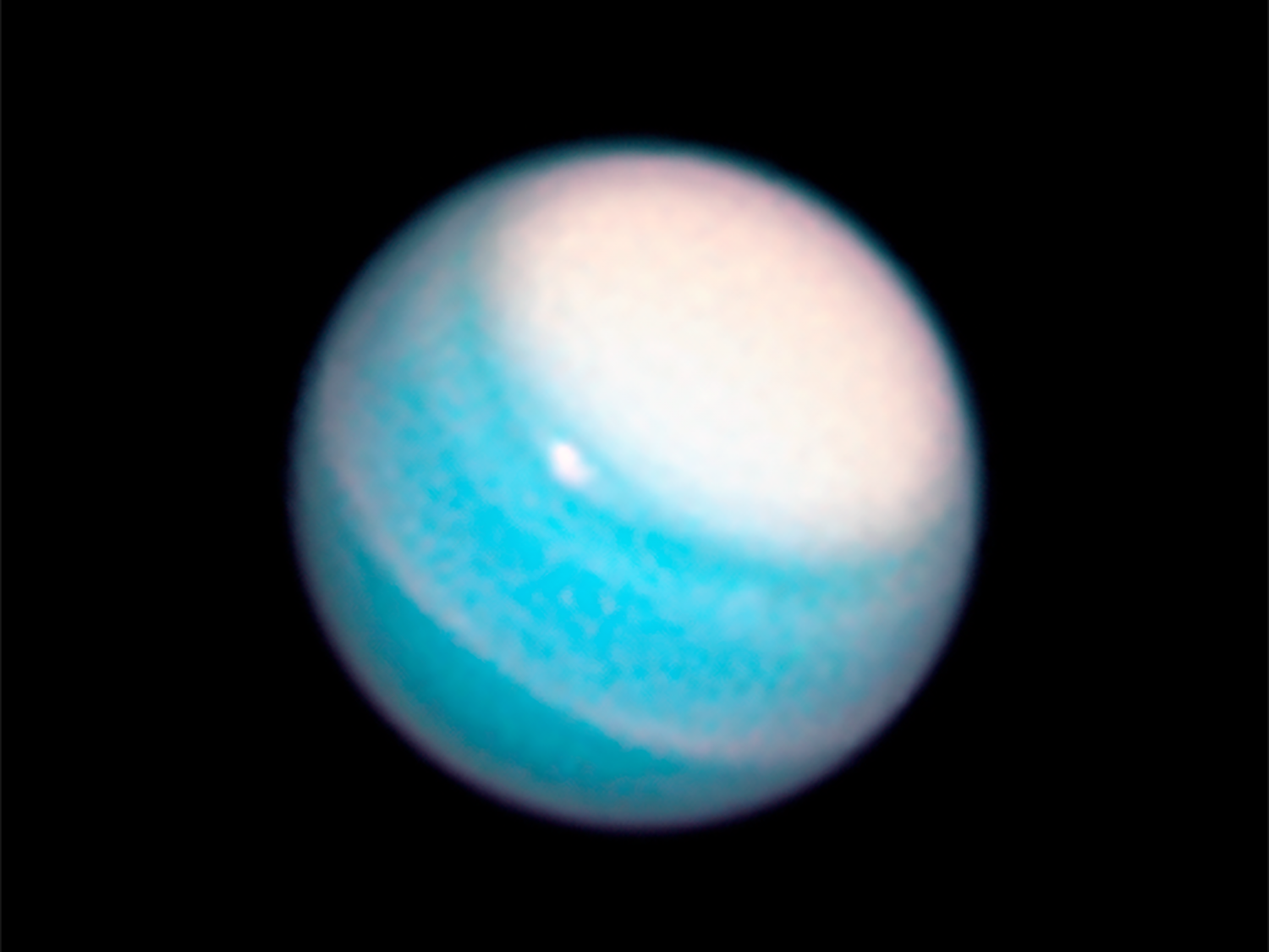 5c5ca6fedfa1e7308353a372.png