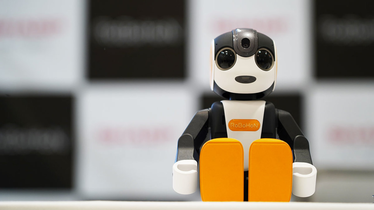 RoBoHoN lite
