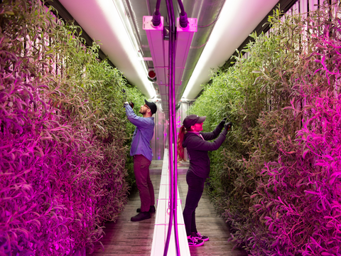 高給だがストレスの少ない33の仕事 Business Insider Japan