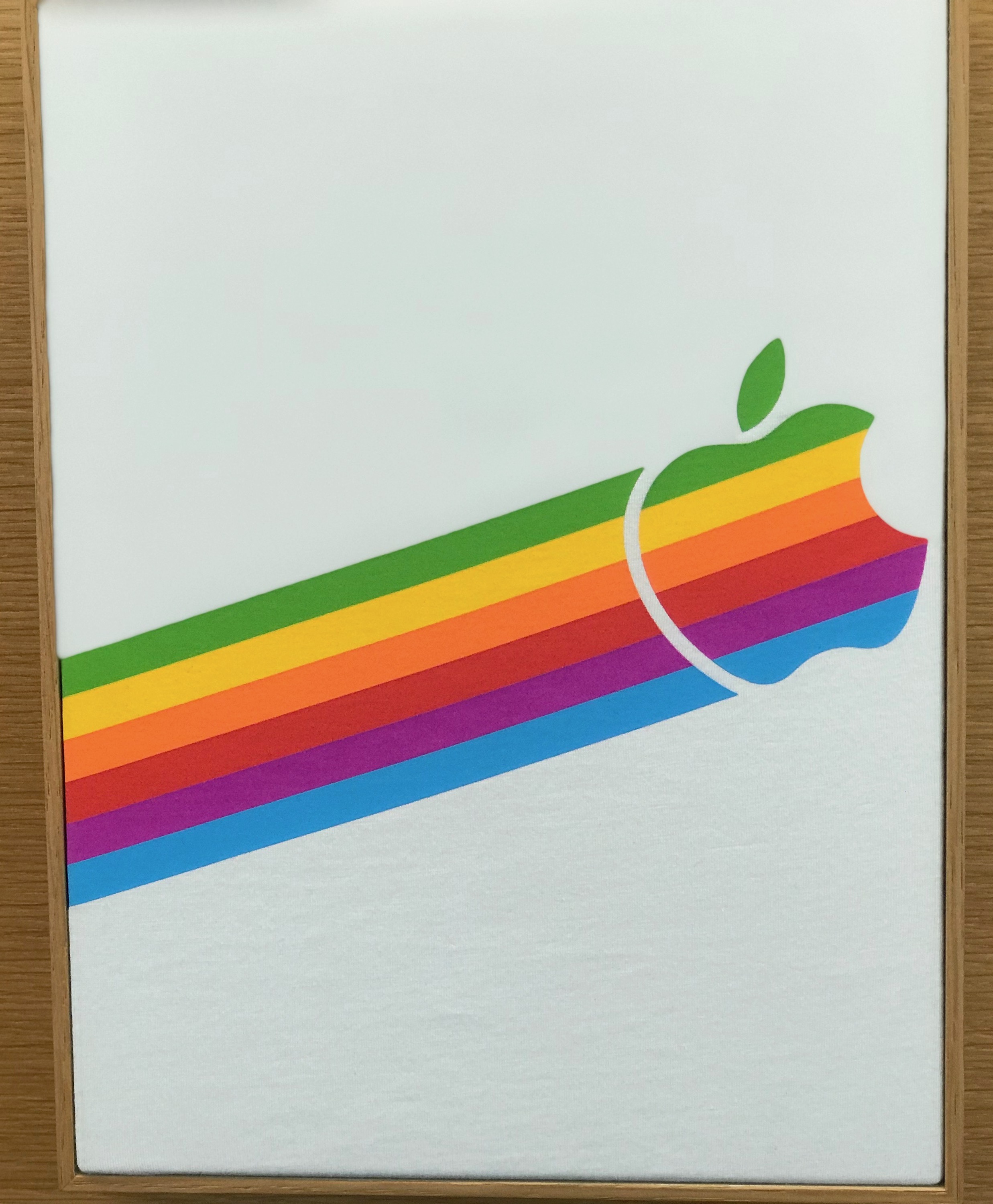 Apple Park限定 パーカー L 新品未開封 レインボーロゴApple本社 アップル本社近くのビジターセンターでしか買えないアップルロゴ入り