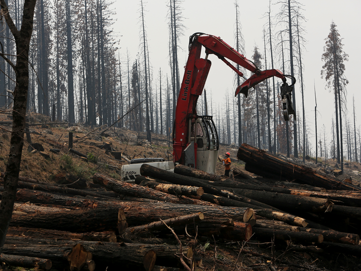 人類はいかに地球を変えてきたのか 23枚の写真で知る Business Insider Japan