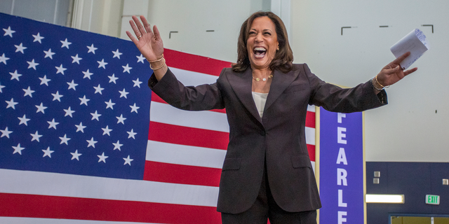 米大統領選 民主党支持の有権者の5人に1人は 間違いなく 女性候補に投票するつもり Business Insider Japan