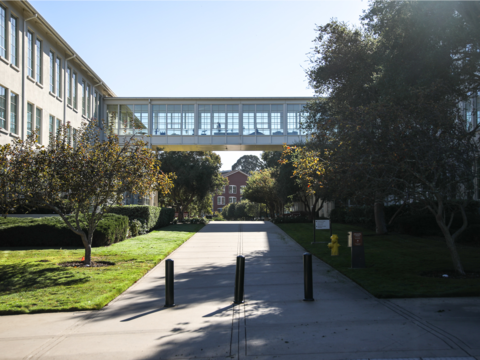 スター ウォーズ完結編公開 ルーカスフィルムの本拠地に行ってみた Business Insider Japan