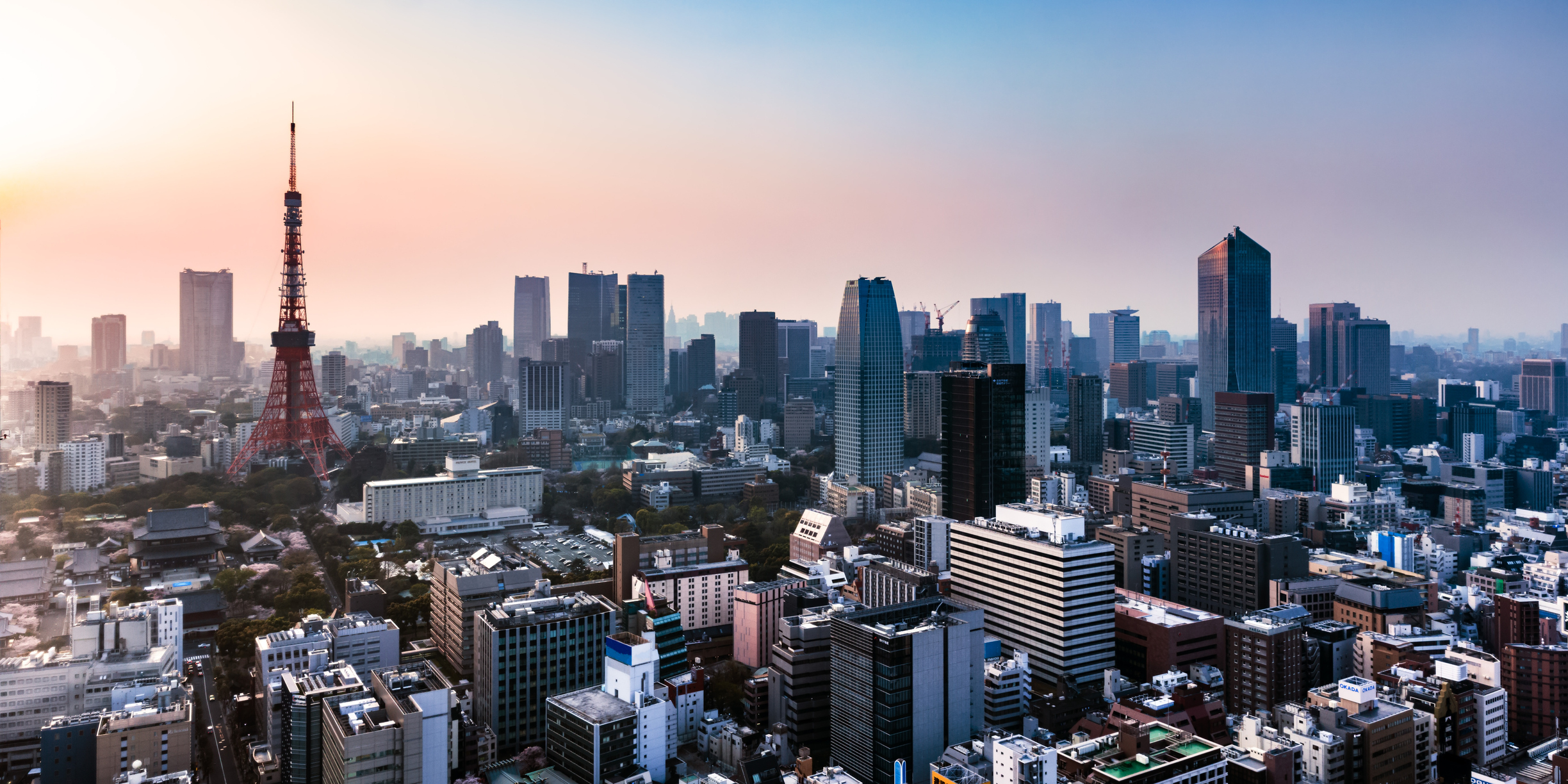 月額3980円で映画も美術館も行き放題を試行中、レシート買取りONEが新体制 | Business Insider Japan