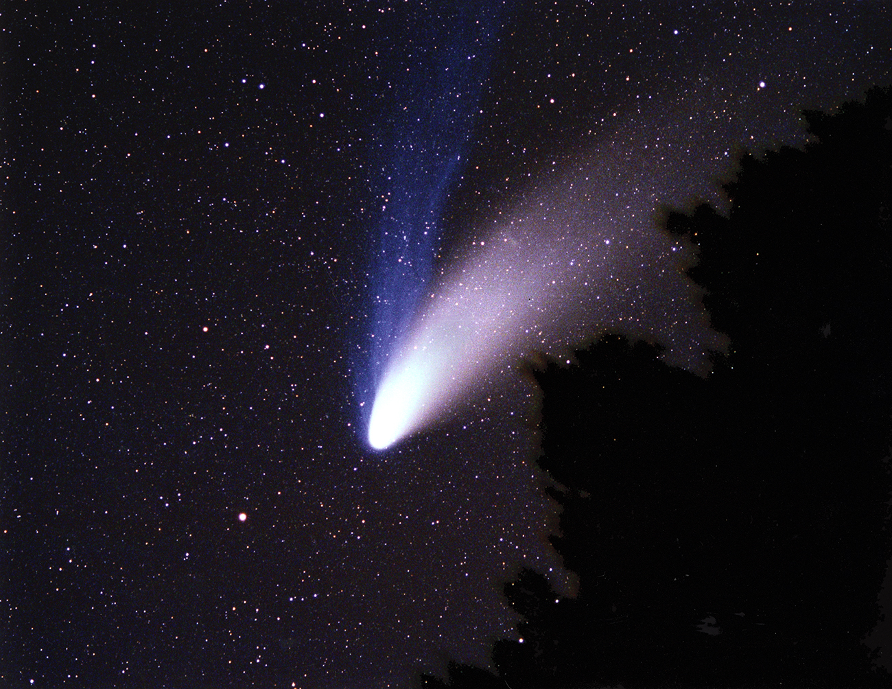 1月4日夜は「しぶんぎ座流星群」が来る。“1時間に約20個”流れ星を見