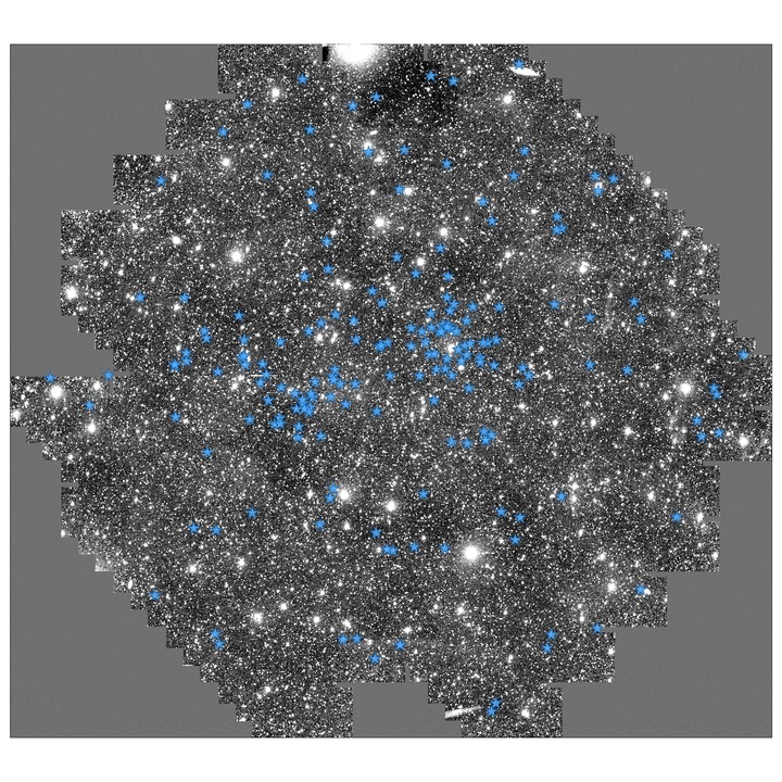 銀河系の外縁部にある若い星（青）。