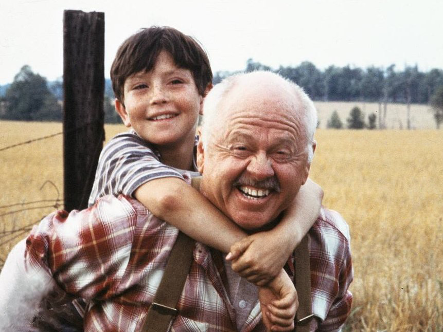 ｢ワイルド・ブラック/少年の黒い馬｣