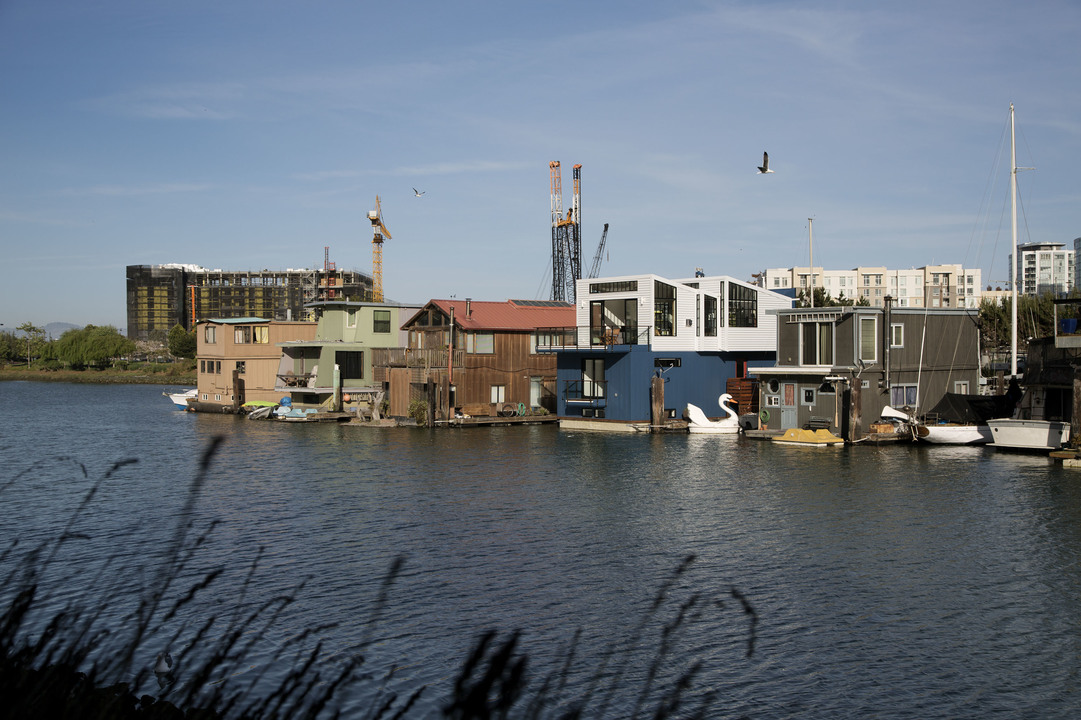 対岸から見た家