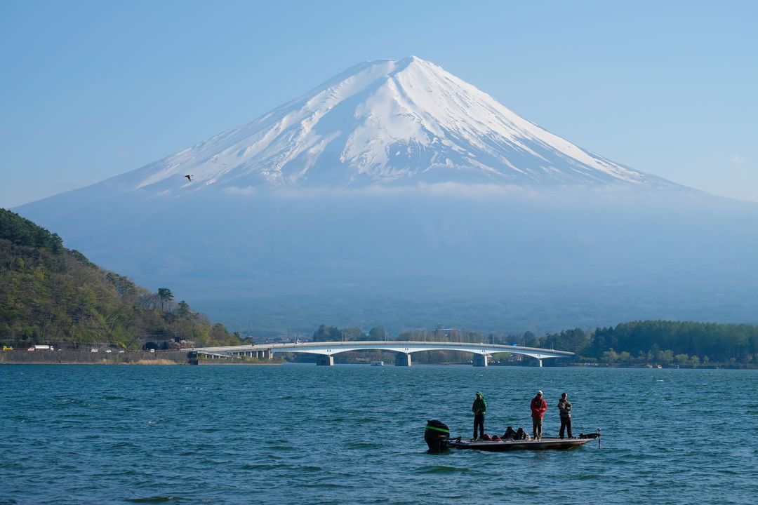 shutterstock_1313354444