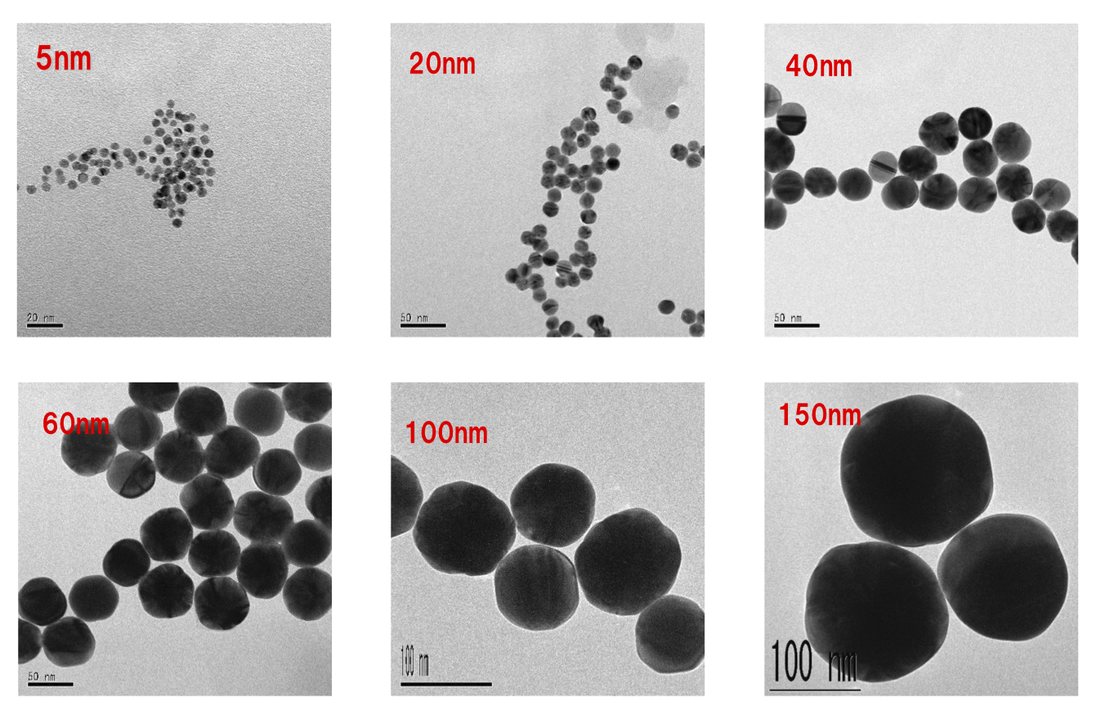 金コロイドの電子顕微鏡写真