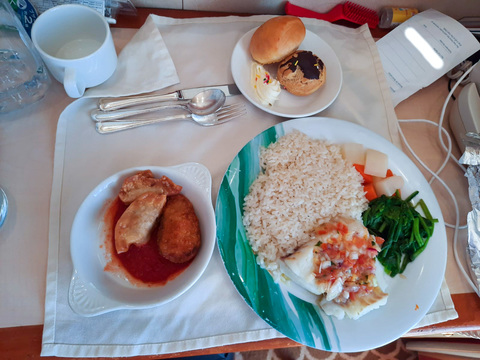 diamondprincess11a