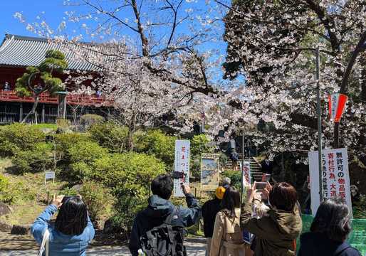 コロナ危機に大学生からは 飽きた 自粛疲れ 若者との意識格差どう埋める Business Insider Japan