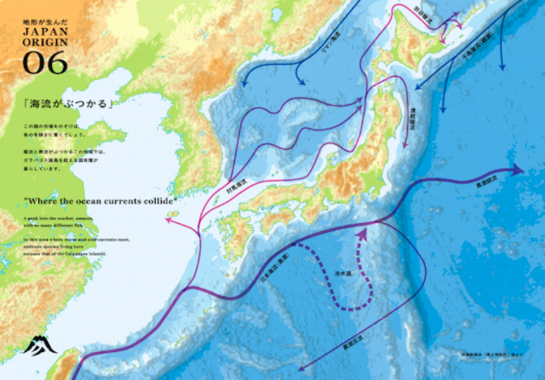 日本人の カワイイもの好き は地形のせい 日本を語る新たな視点 Business Insider Japan