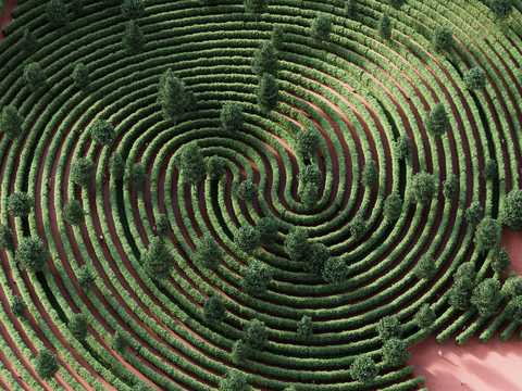 5e9f63e838bf232f0c043525