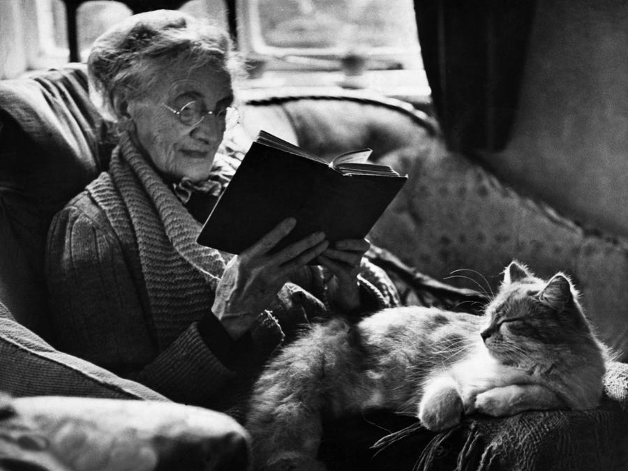 ねこと老女