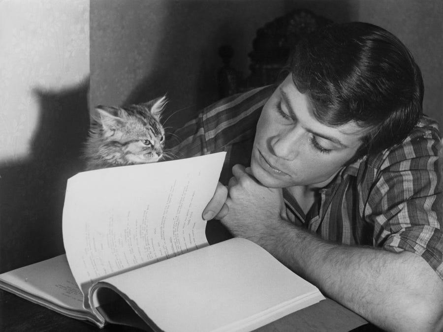 オリバー・リードとネコ