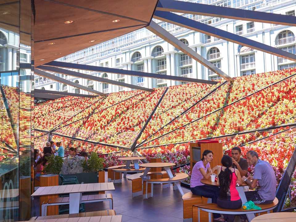 花盛りのマクドナルド。