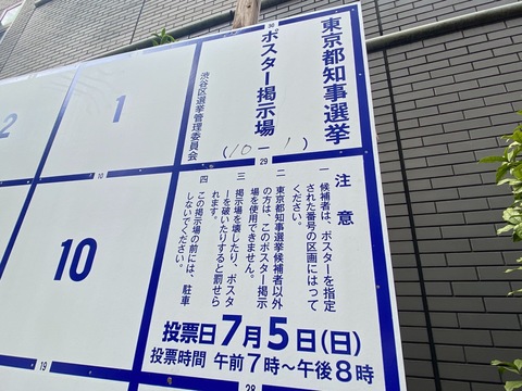 自民 苦渋の自主投票 小池氏とのねじれ抱えた自民都議会 かすむ政党 都知事選２０２０上 東京新聞 Tokyo Web