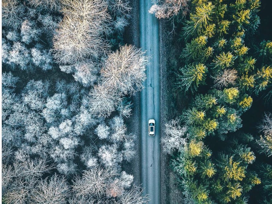 スウェーデンの森を走る道。