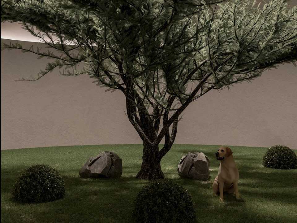 次のパンデミックに備える地下の家