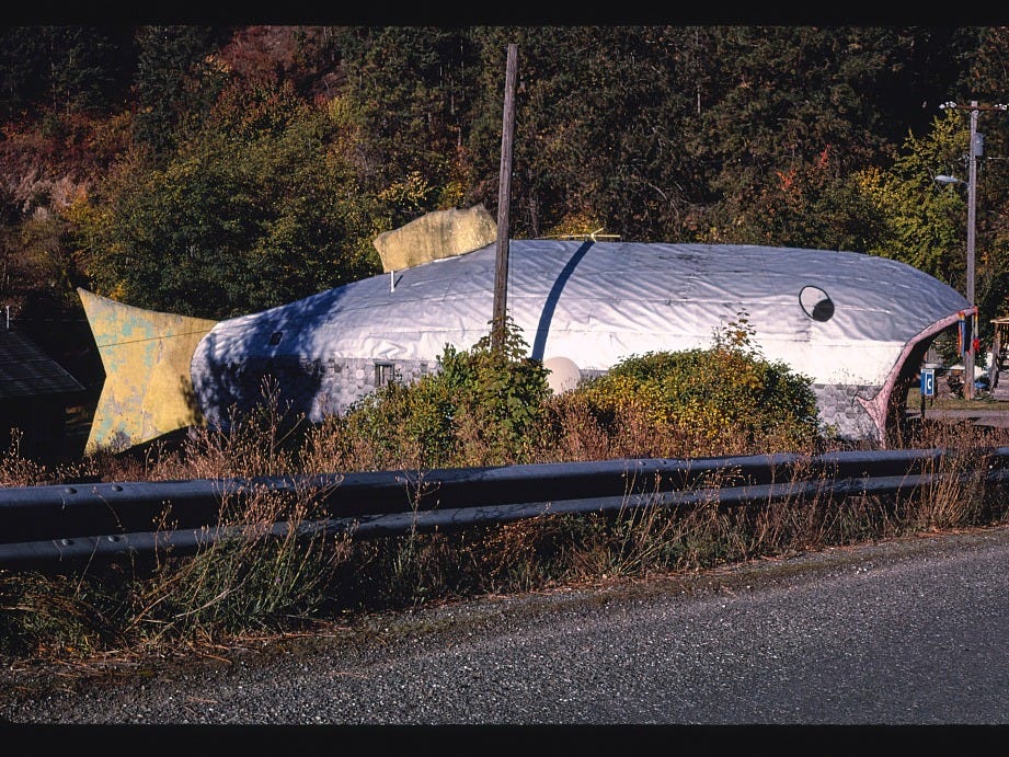 魚の形の宿泊施設。