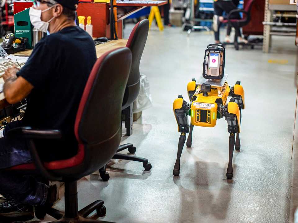 犬型ロボット、8月からフォードに就職