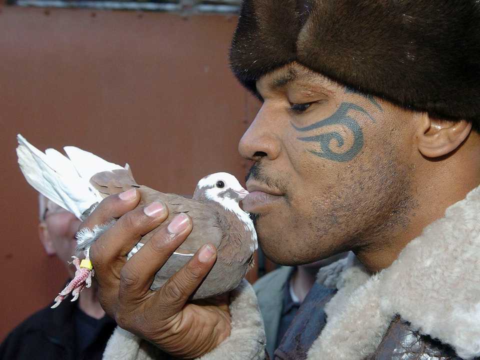 鳩と戯れるマイク・タイソン。