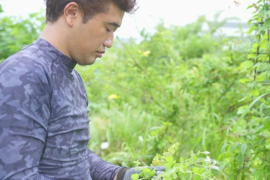 Mugendai_2009_Funabashi_02