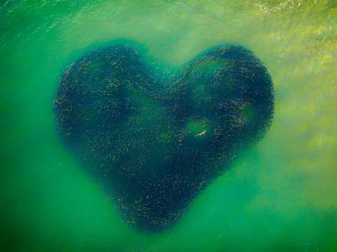 ドローン・フォト・アワード2020 優秀作...世界をまったく違った視点から見せてくれる15枚の写真